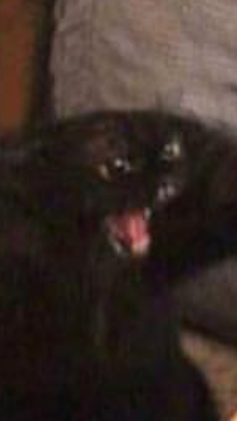 Thai @lipstick cover picture