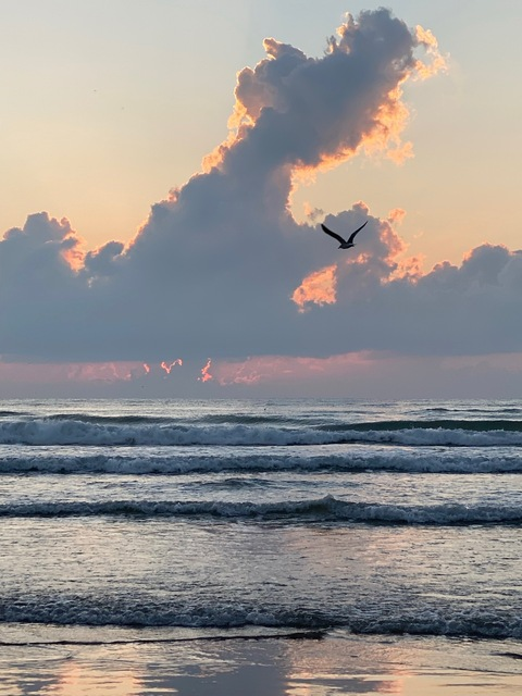 Liss @lis.carrizales cover picture