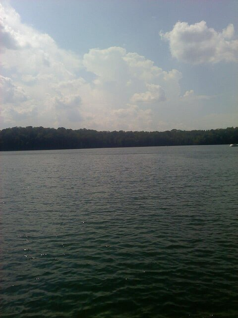 Lisette @lisette cover picture