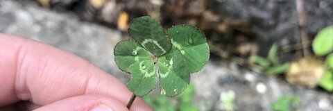 Amy @littleamyyyy cover picture