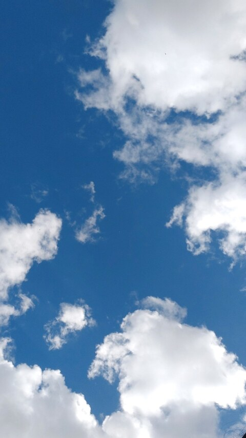 Nai @littleboo cover picture