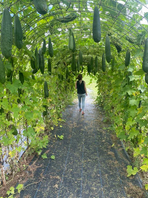 J @littleladylovely cover picture