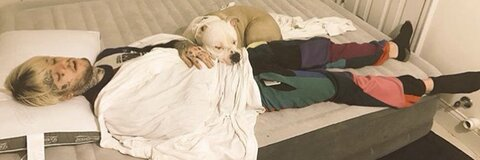 azula @littleshitter cover picture