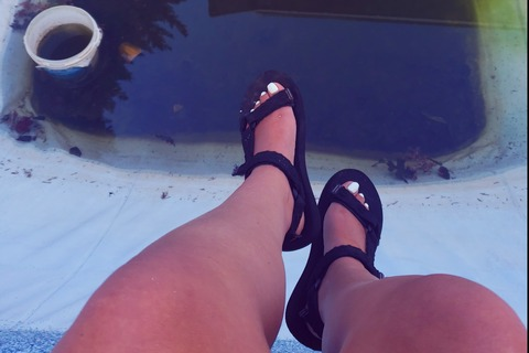 Sarah @littletree cover picture