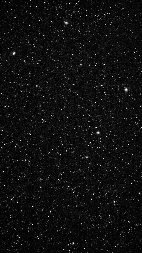 Olivia @livsdownlow cover picture