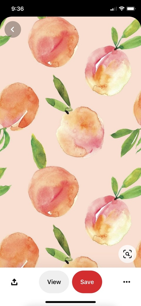 Lizzz @liz_love cover picture