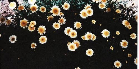 Kriz M @lkrizzm cover picture