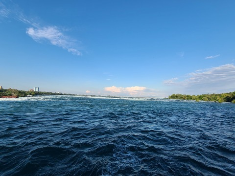 Draconian devil @llamaboii cover picture