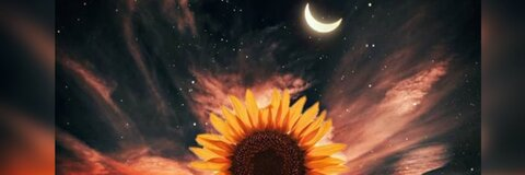 lex @lnicholexoxo cover picture