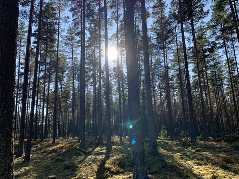 Lolalule @lolalule cover picture