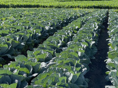 Lonwabo88 @lonwabo88 cover picture