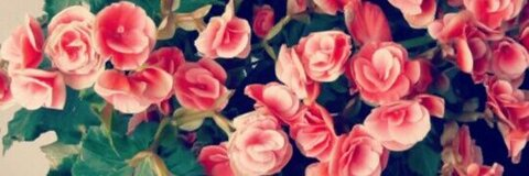 🍭 jessy loollypop24 🍭 @loollypop24 cover picture