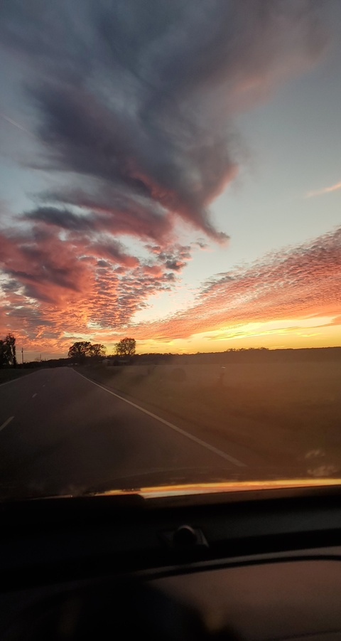 LouLou @loulou32 cover picture