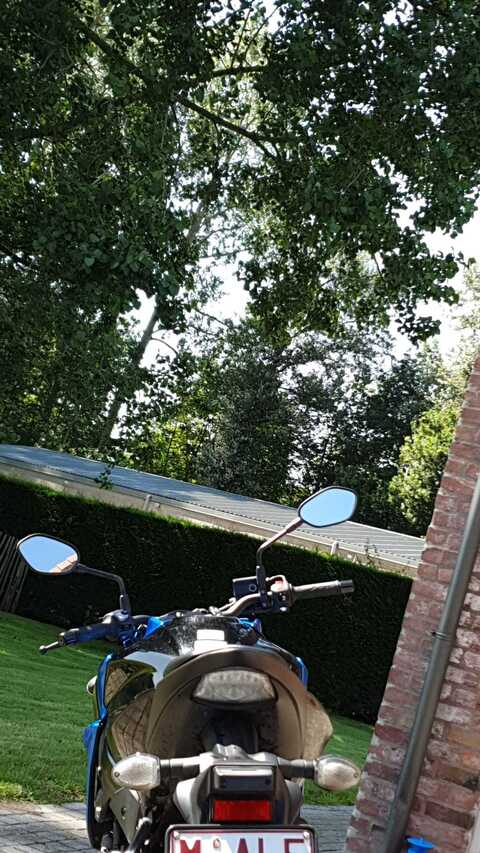 lisa @lovergirl1999 cover picture