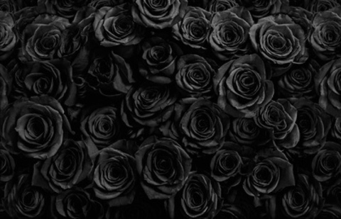 lovey lotus 🖤🌸 @loveylotus cover picture