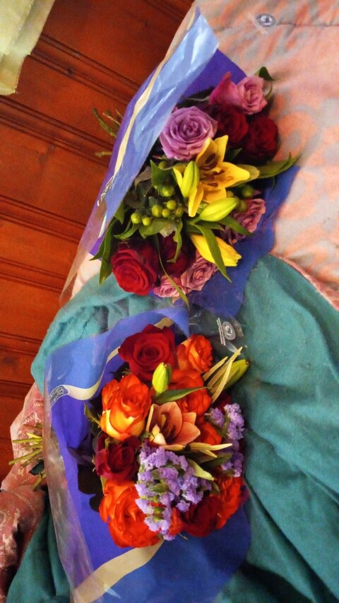 Luckandloyal @luckandloyal cover picture