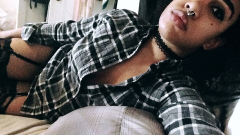 LuluKittenKramer @lulukramer cover picture