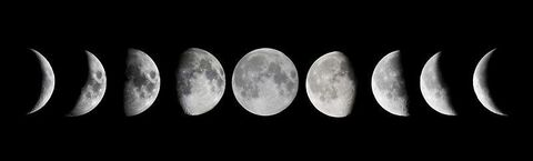 Luna @lunabelle27 cover picture