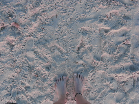 Luna @lunalove96 cover picture