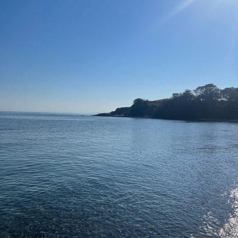 Carissa @luvrissa cover picture