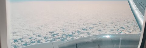 Lÿa @lyasntg cover picture