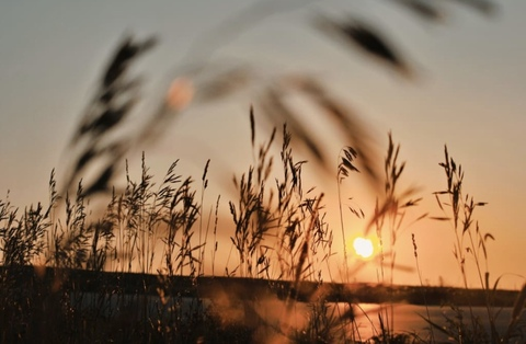 Lynn @lynmitchell cover picture