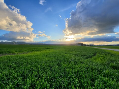 MissLyss @lyssh cover picture