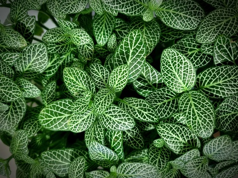 Madalynn Raye @madalynnraye cover picture