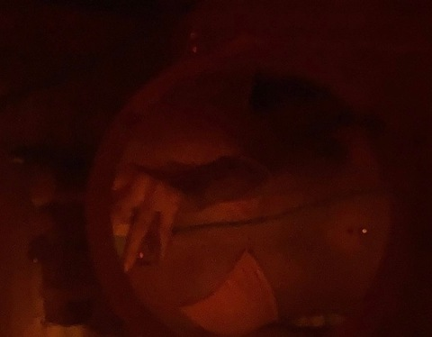 mads x @maddisonrosee cover picture