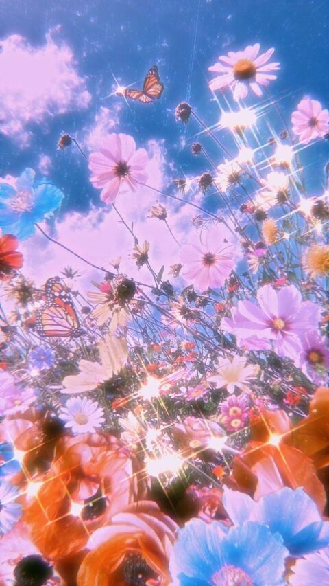 Madi Brooks @madibrooks10 cover picture