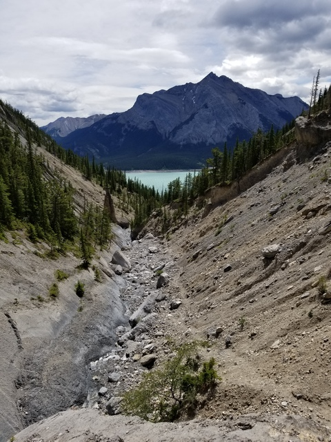 Madi Doll @madidoll cover picture