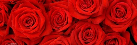 Madison @madisonberkleyy cover picture