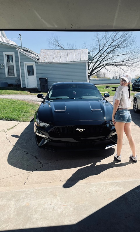 Yellowrose @madonlykat cover picture