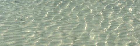 not your sensei 🧚🏼‍♀️ @madydaily cover picture