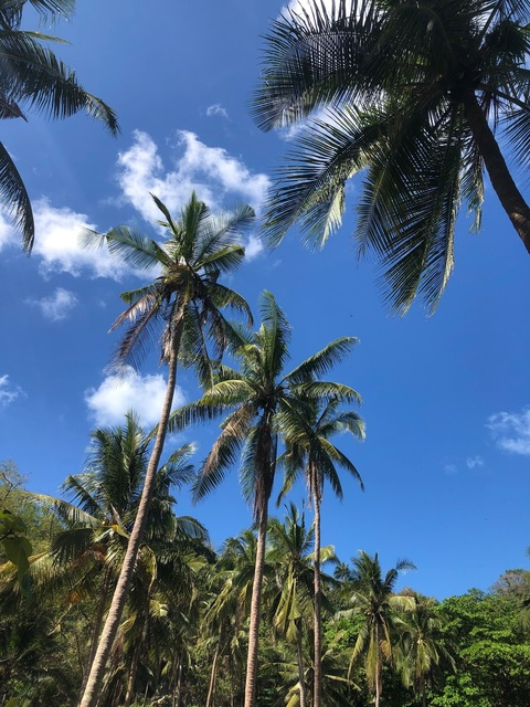 mai_assistant (Mai assistant) OnlyFans Leaked Videos and Pictures