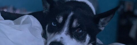 mal @malissam10 cover picture