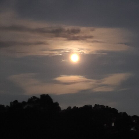 RINN @manw1th0utfear cover picture