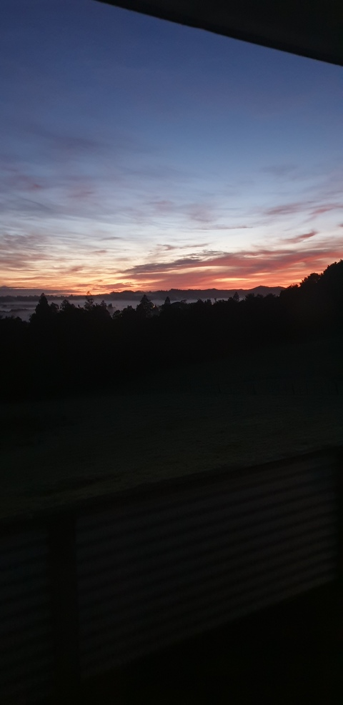 Maori Man @maoriman cover picture