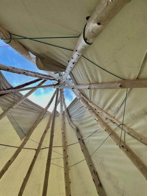 maran @maranthendn cover picture