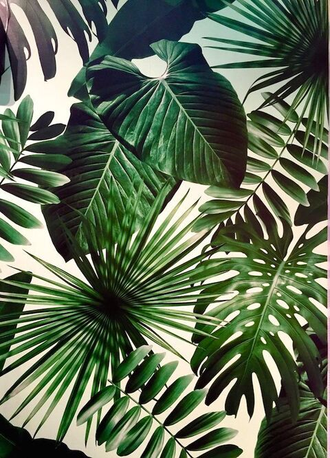 Marianella Leandro De Faria @mariane cover picture