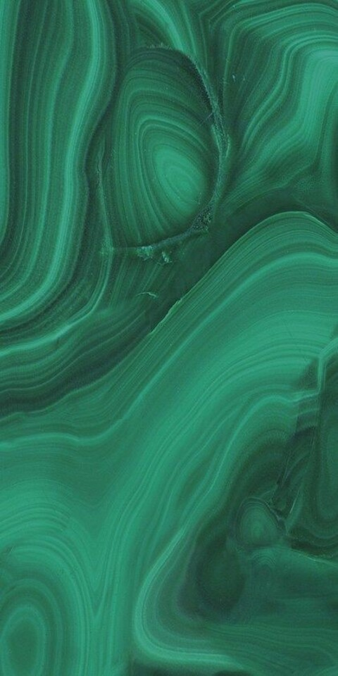 Mary bitch @maryyyyy cover picture