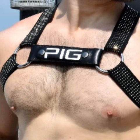 Matt The Dom Dad @mattthedomdad cover picture