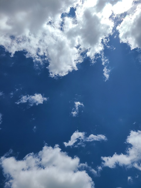 Morgan @maybemorgann cover picture