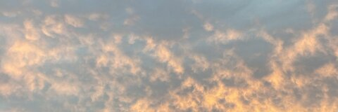 mackadelic 🔮 @mdwinna cover picture