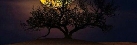 Mazin @medland cover picture