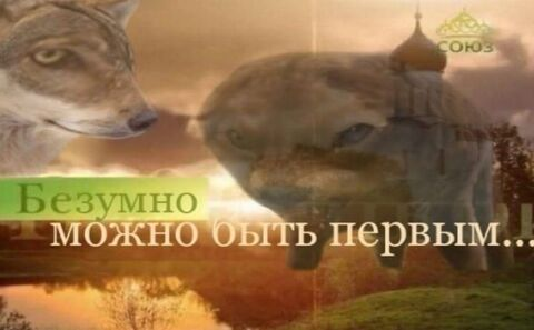 mega_sweet (Flakon) free OnlyFans Leaked Content - LeakedBest