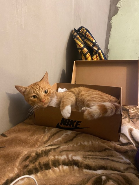 Margaret @melamori cover picture