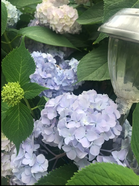 Melissa.bae @mellyme cover picture