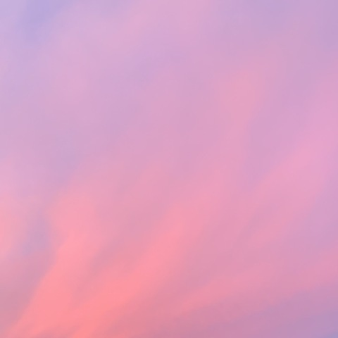 Melonz @melonzz cover picture