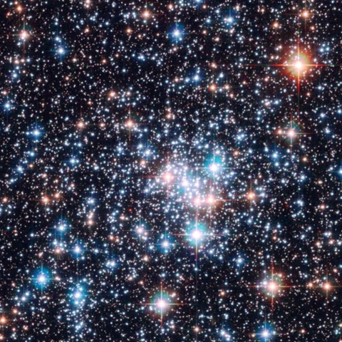 Alondra Lucia @mentionsugar cover picture